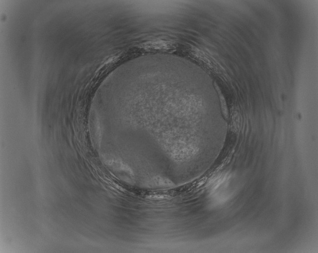 X0000072551297200607211349