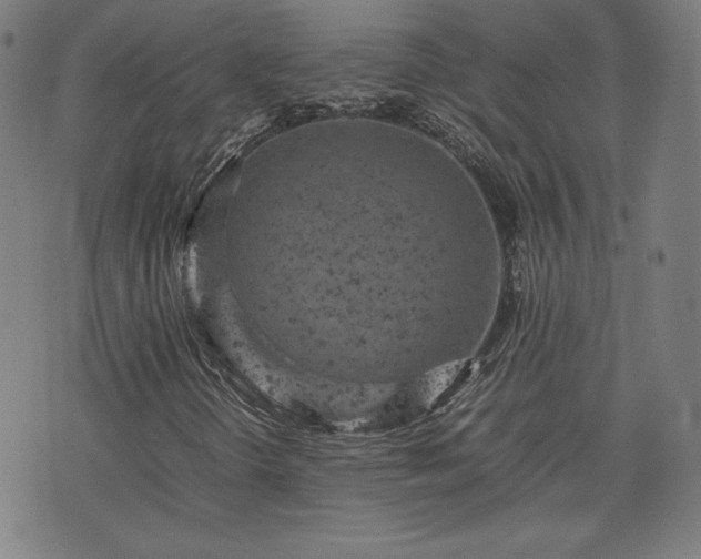 X0000072551298200607211349