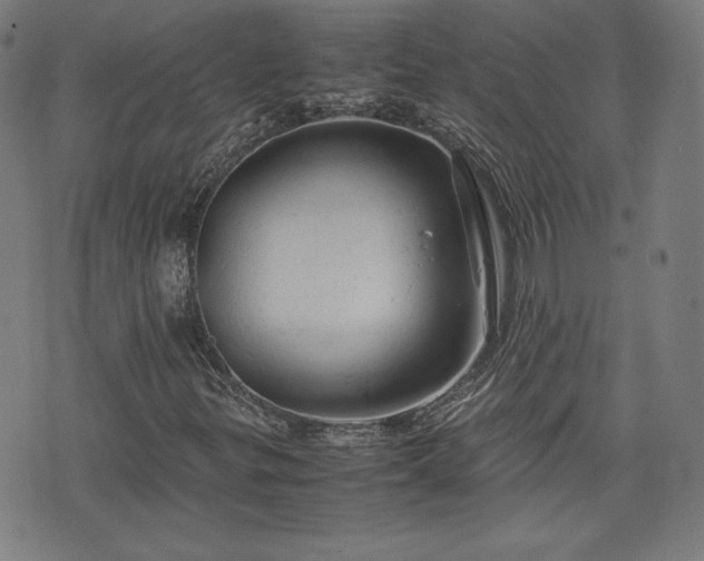 X0000072551299200607211349