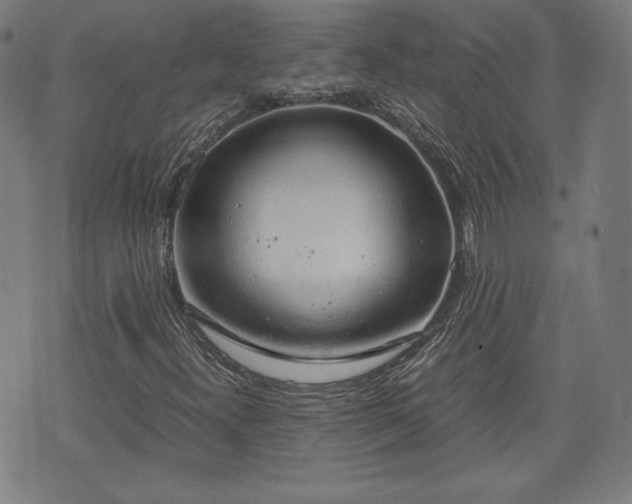 X0000072551300200607211349