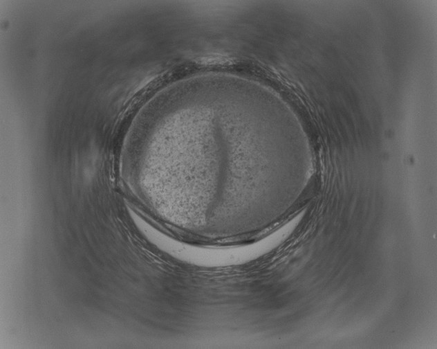 X0000072551301200607211349