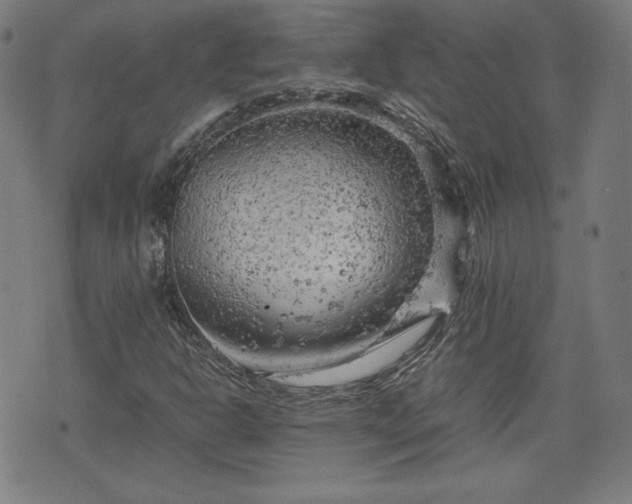 X0000072551302200607211349