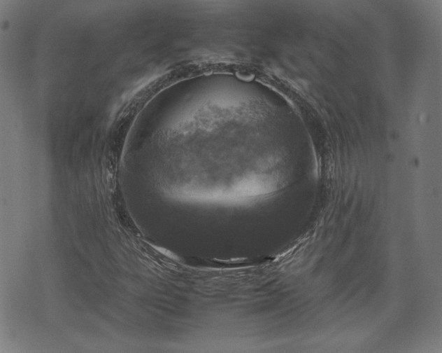 X0000072551303200607211349