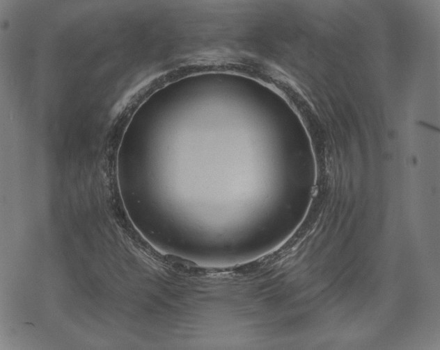 X0000072551304200607211349