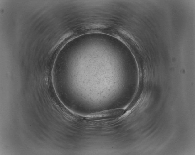 X0000072551305200607211349