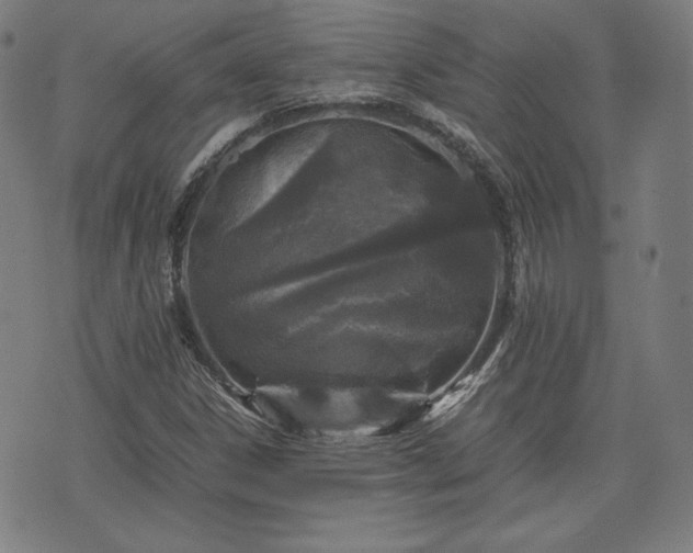 X0000072551306200607211349