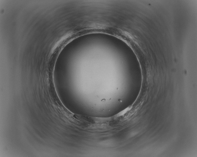 X0000072551307200607211349