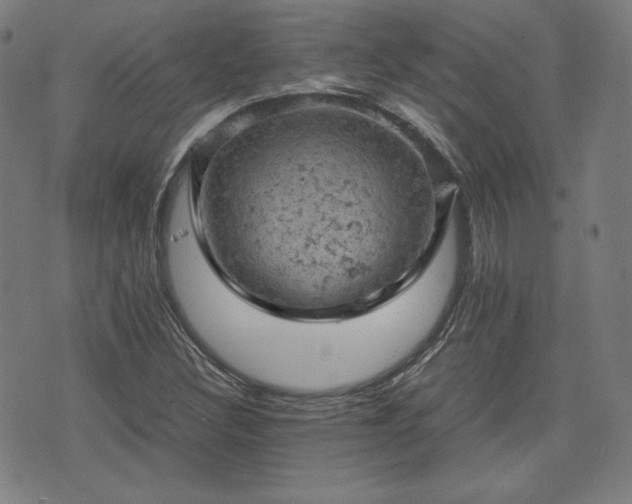 X0000072551308200607211349