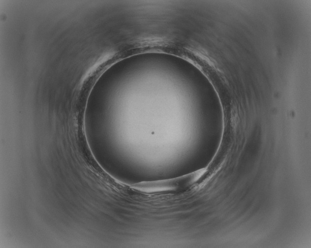 X0000072551309200607211349