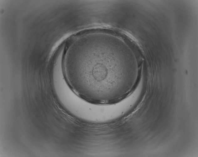 X0000072551310200607211349