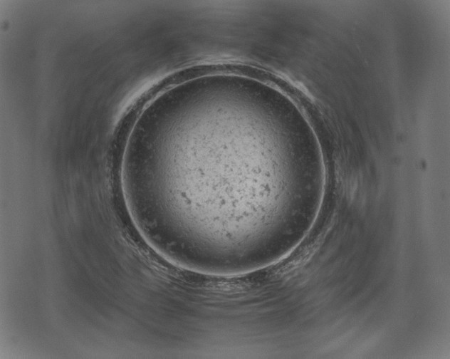 X0000072551311200607211349