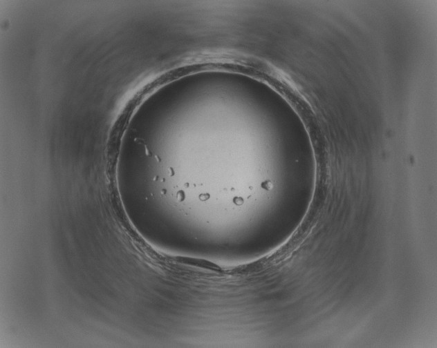 X0000072551312200607211349