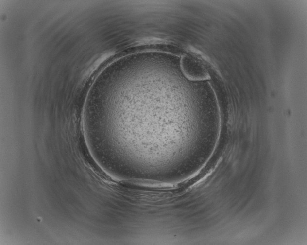 X0000072551313200607211349