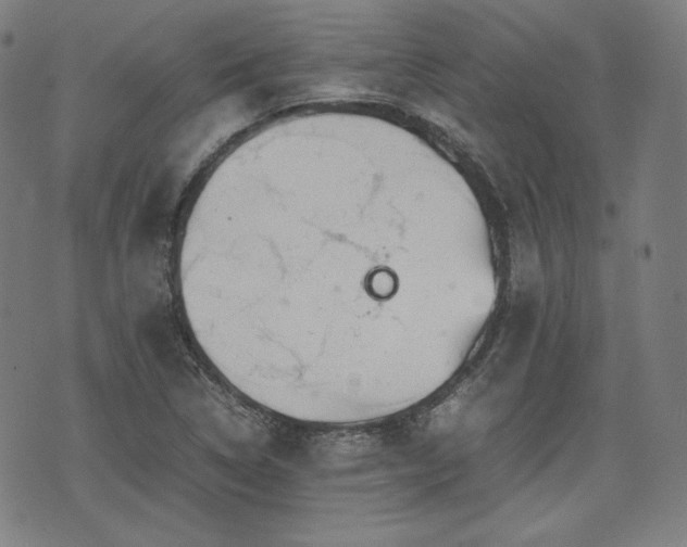 X0000072551314200607211349