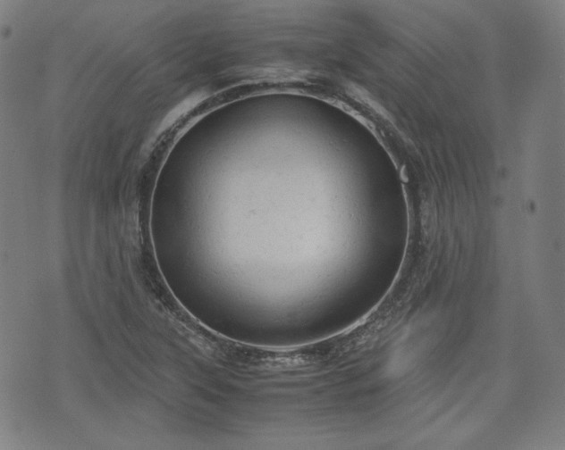 X0000072551315200607211349