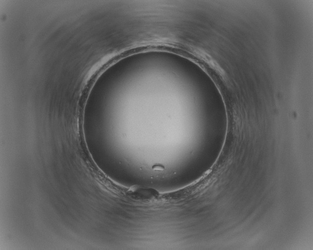 X0000072551316200607211349