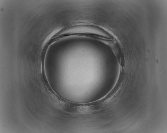 X0000072551317200607211349