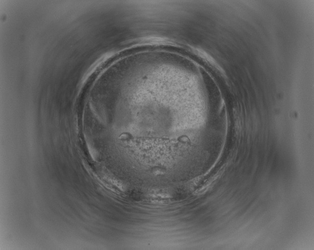 X0000072551318200607211349