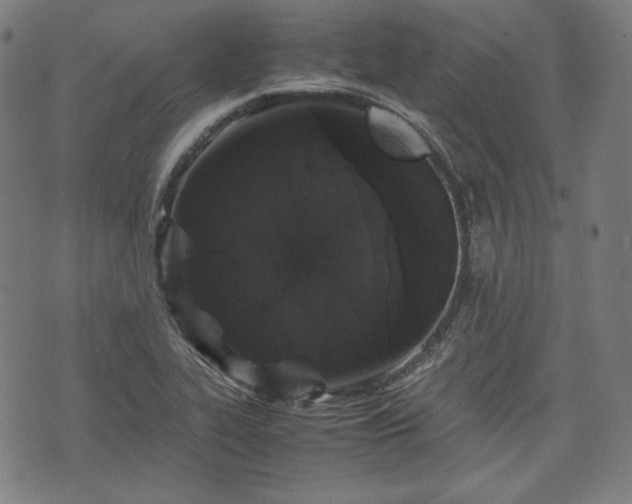 X0000072551319200607211349