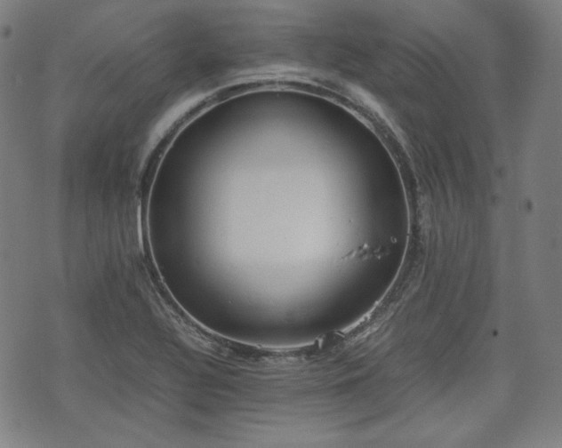 X0000072551320200607211349