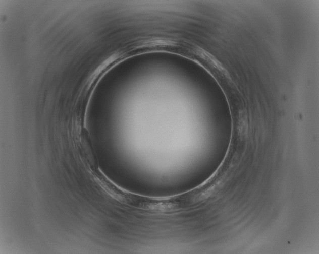 X0000072551321200607211349