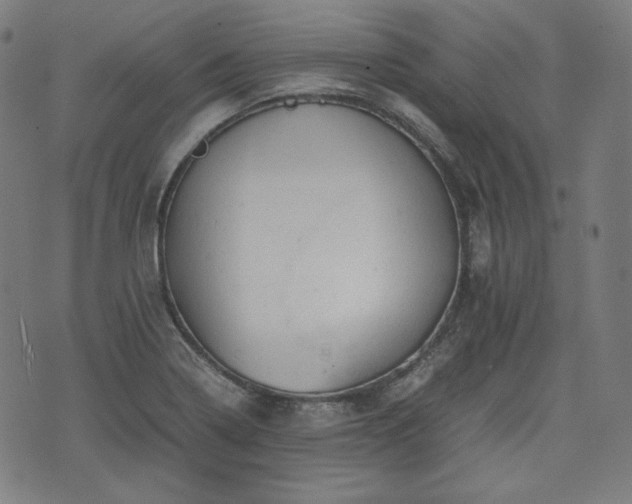 X0000072551322200607211349