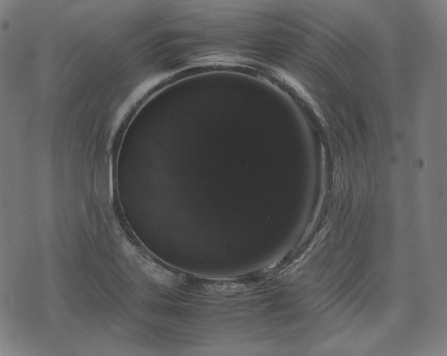 X0000072551323200607211349