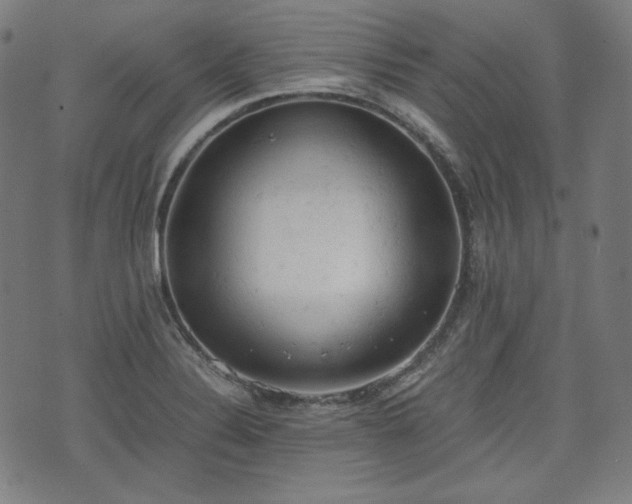 X0000072551324200607211349