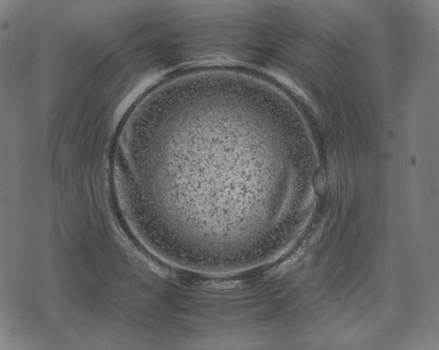 X0000072551325200607211349