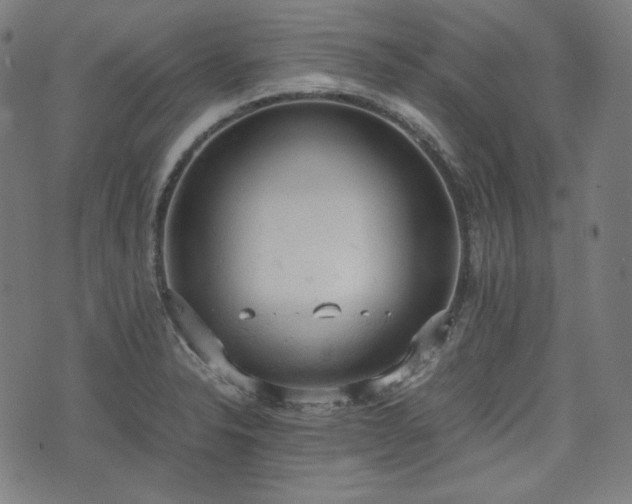 X0000072551326200607211349