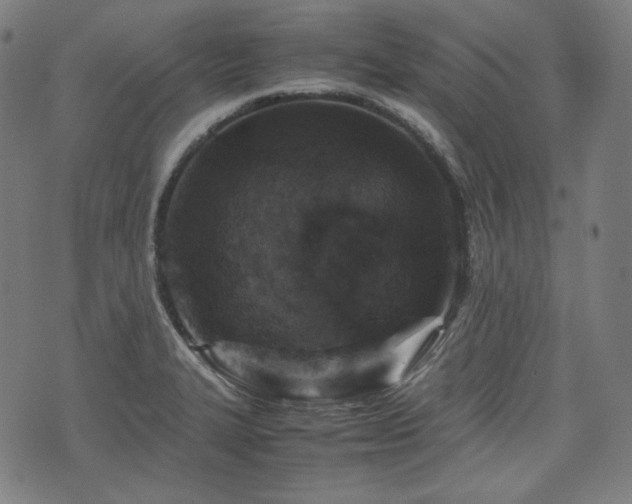 X0000072551327200607211349