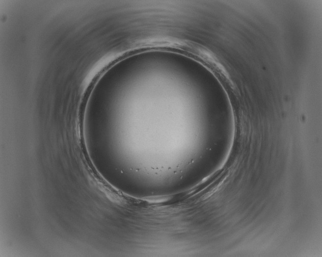 X0000072551328200607211349