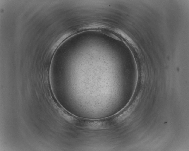 X0000072551329200607211349