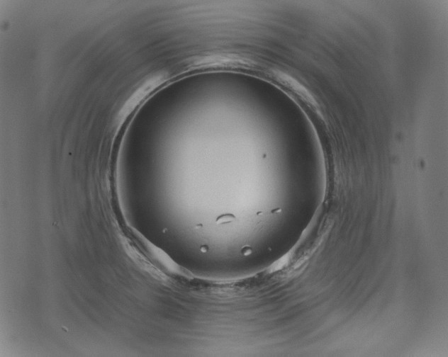 X0000072551330200607211349