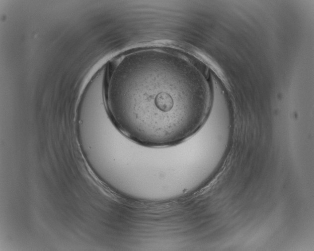 X0000072551332200607211349