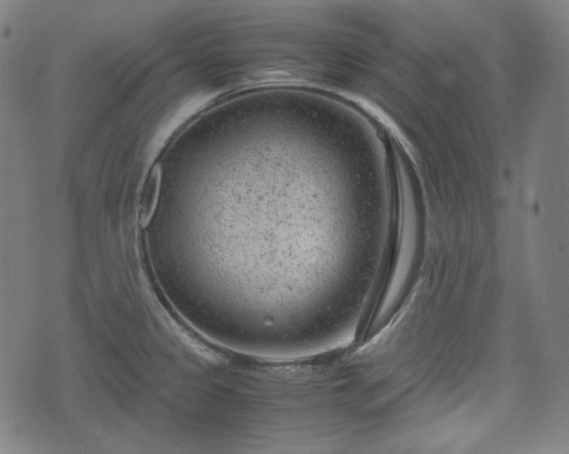 X0000072551333200607211349