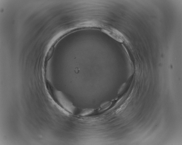 X0000072551334200607211349