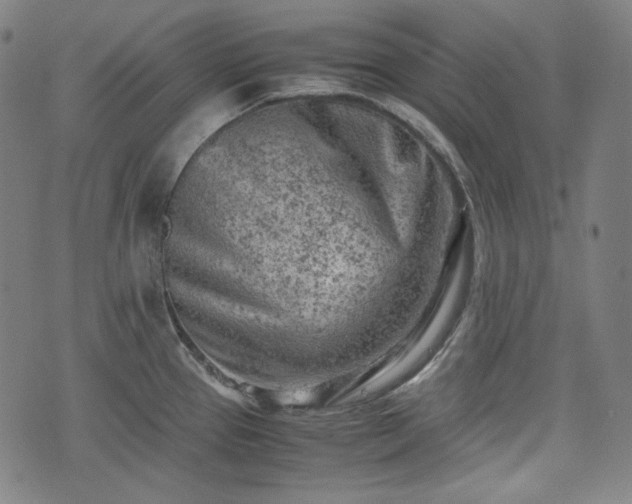 X0000072551337200607211349