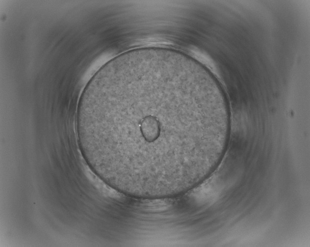 X0000072551338200607211349