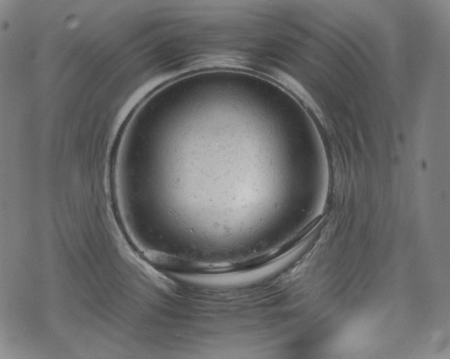 X0000072551339200607211349