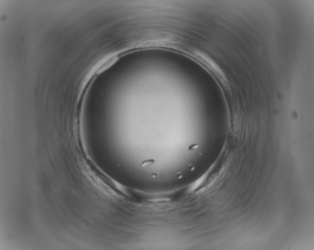 X0000072551340200607211350