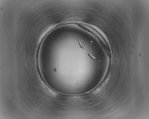 X0000072551341200607211350