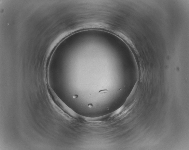 X0000072551342200607211350