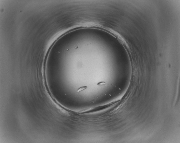 X0000072551343200607211350