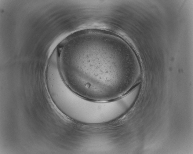 X0000072551344200607211350