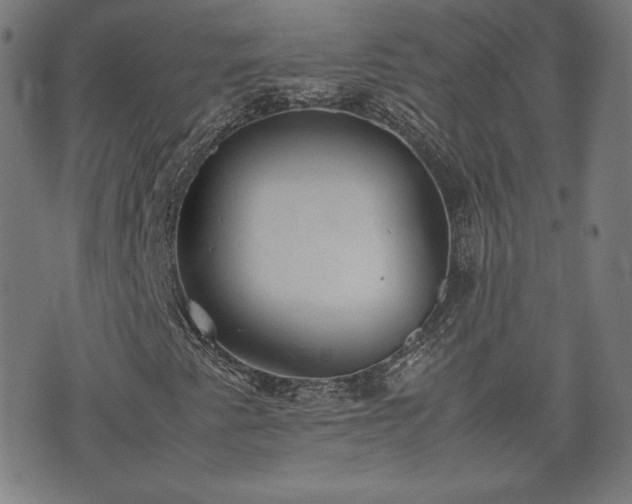 X0000072551345200607211349