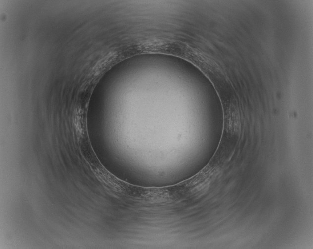 X0000072551346200607211349