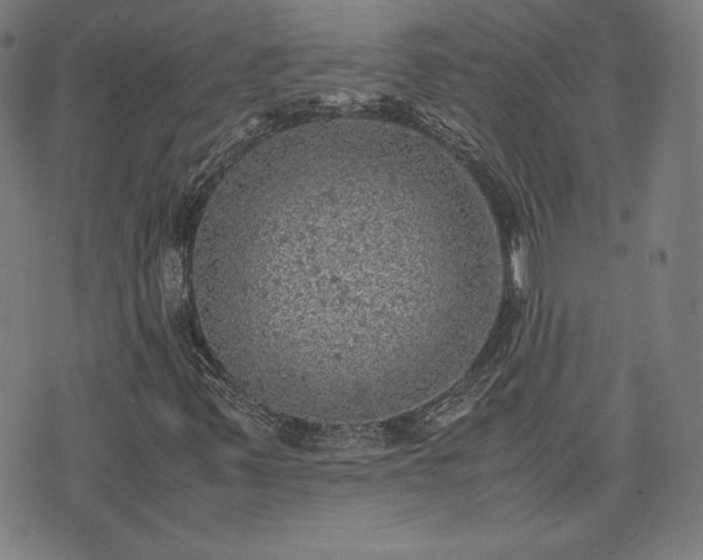 X0000072551347200607211349