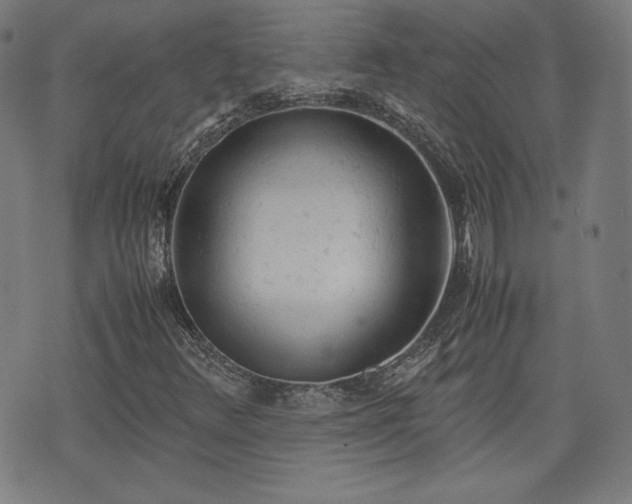 X0000072551348200607211349