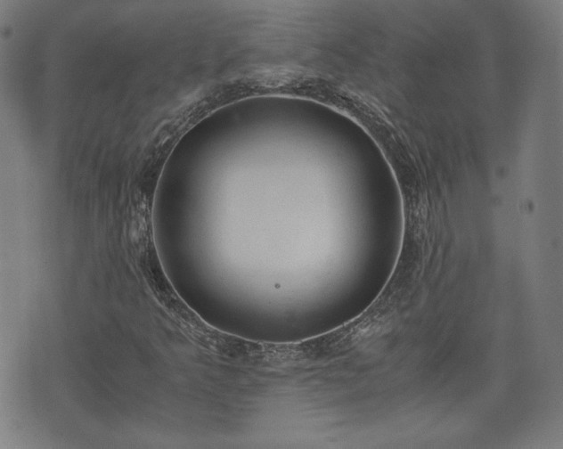 X0000072551349200607211349